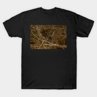 Squirrell in Bushes T-Shirt